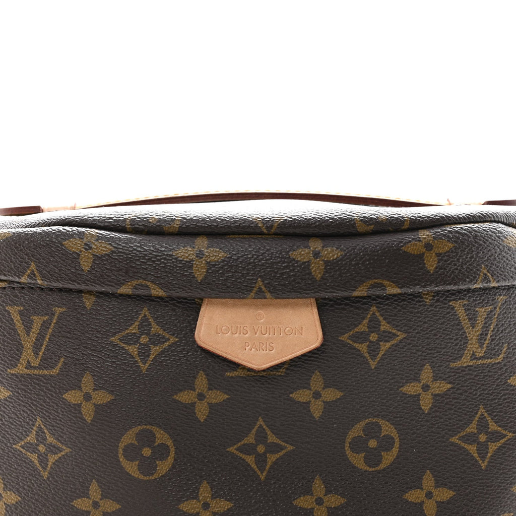 Louis Vuitton Monogram Bumbag