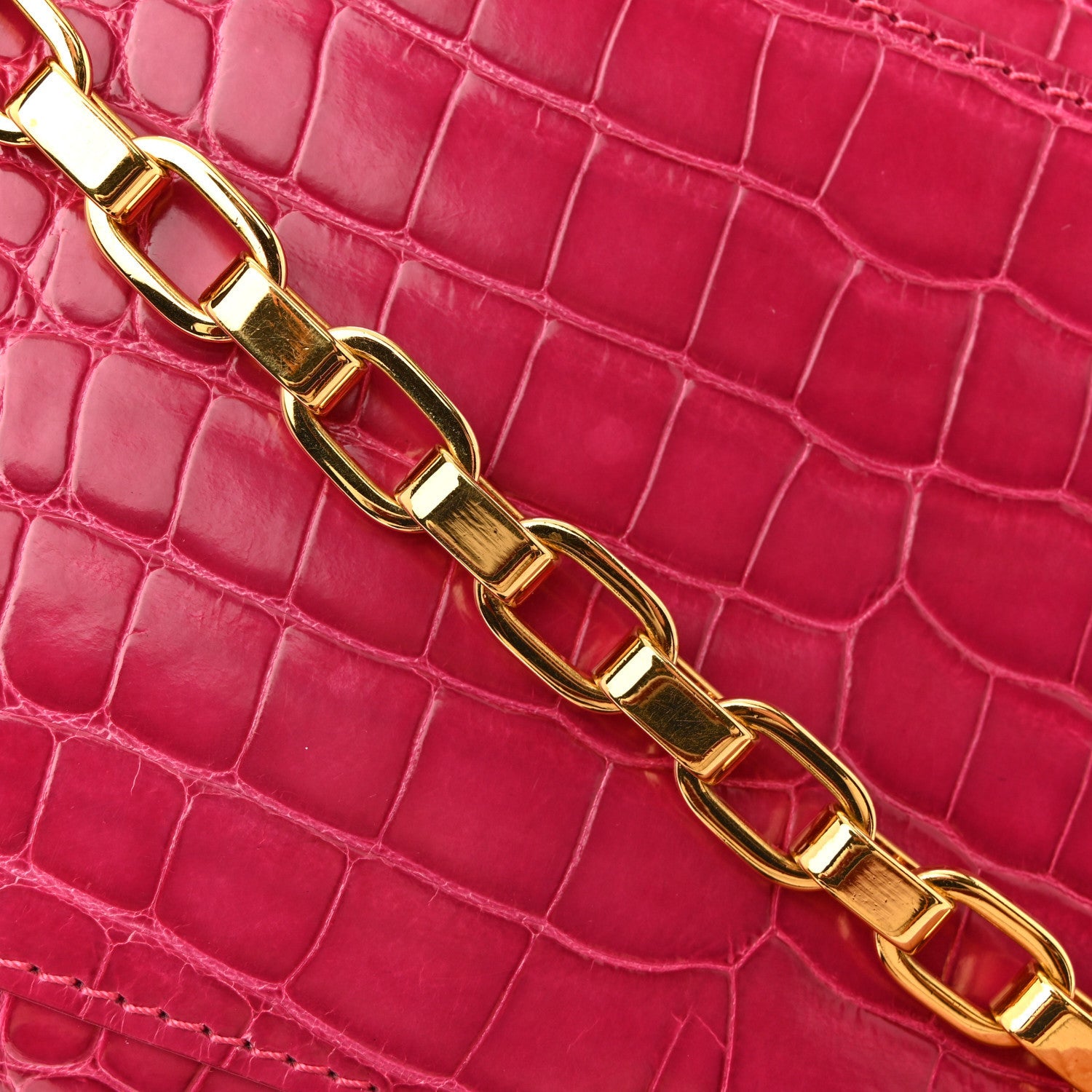 Louis Vuitton Alligator Chain Louise GM