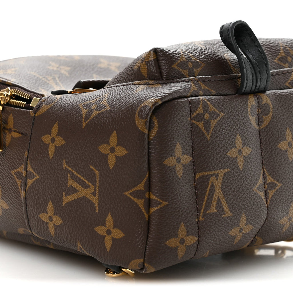 Louis Vuitton Monogram Palm Springs Backpack Mini