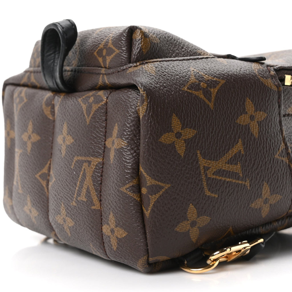 Louis Vuitton Monogram Palm Springs Backpack Mini