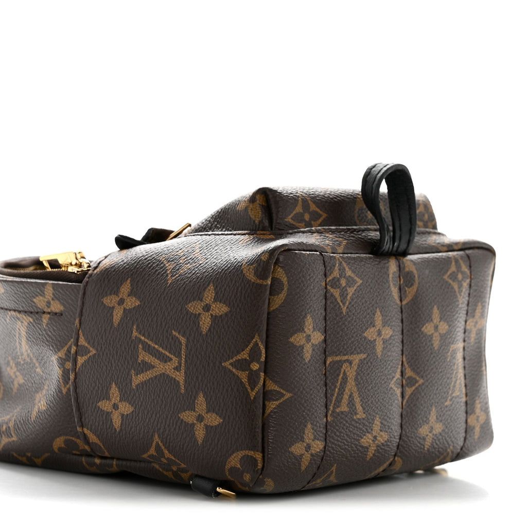 Louis Vuitton Monogram Palm Springs Backpack Mini