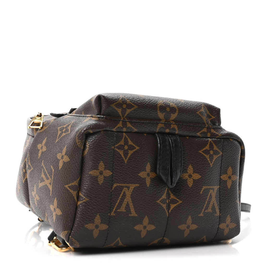 Louis Vuitton Monogram Palm Springs Backpack Mini