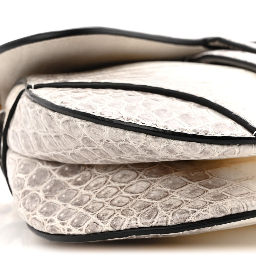 Christian Dior Niloticus Crocodile Himalaya Mini Saddle Bag Latte