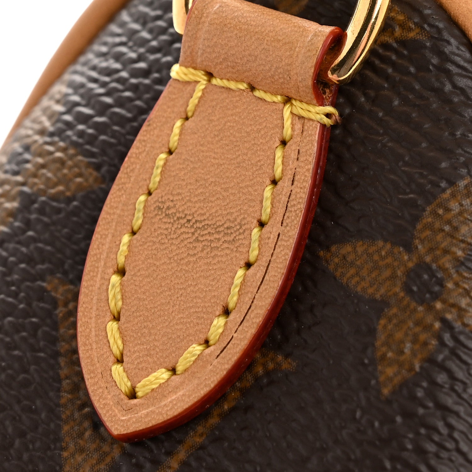 Louis Vuitton Monogram Nano Speedy Bandouliere