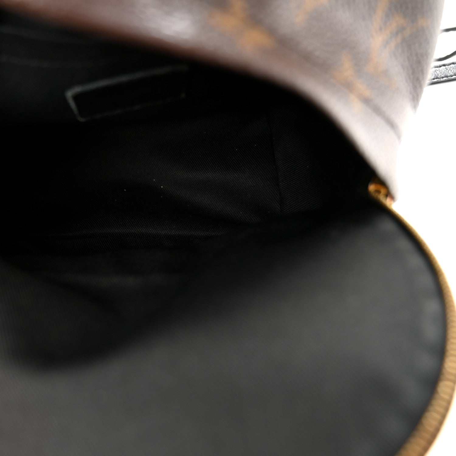 Louis Vuitton Monogram Palm Springs Backpack Mini