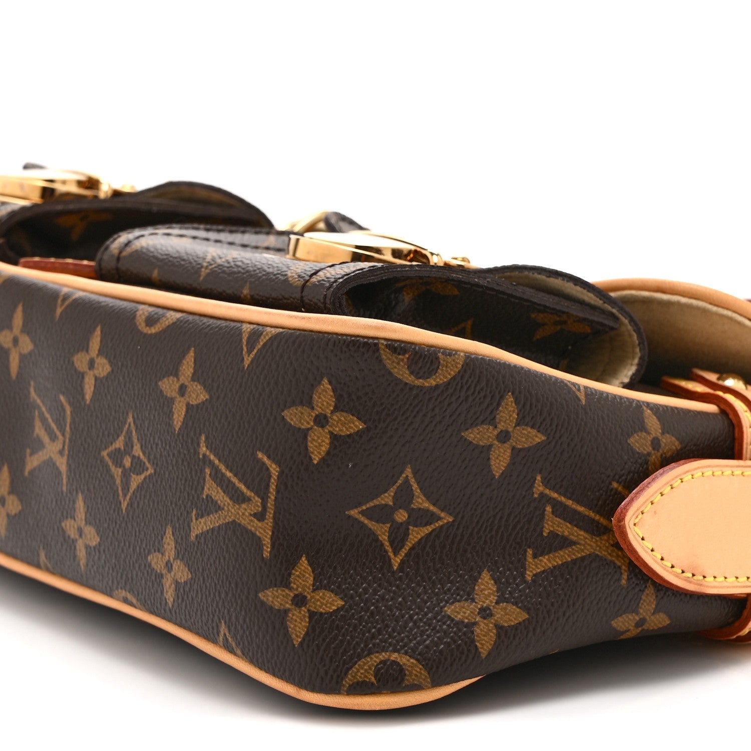 Louis Vuitton Monogram Hudson PM