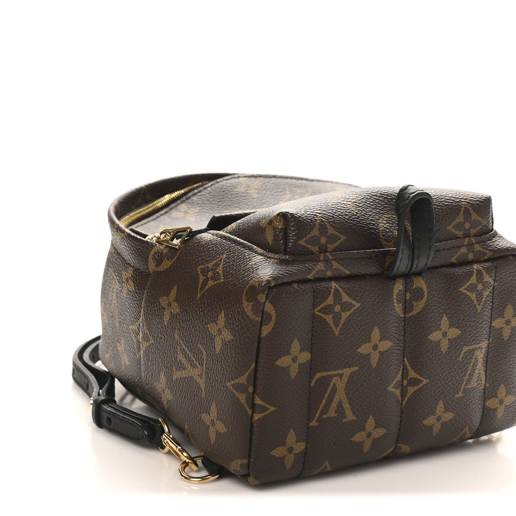 Louis Vuitton Monogram Palm Springs Backpack Mini