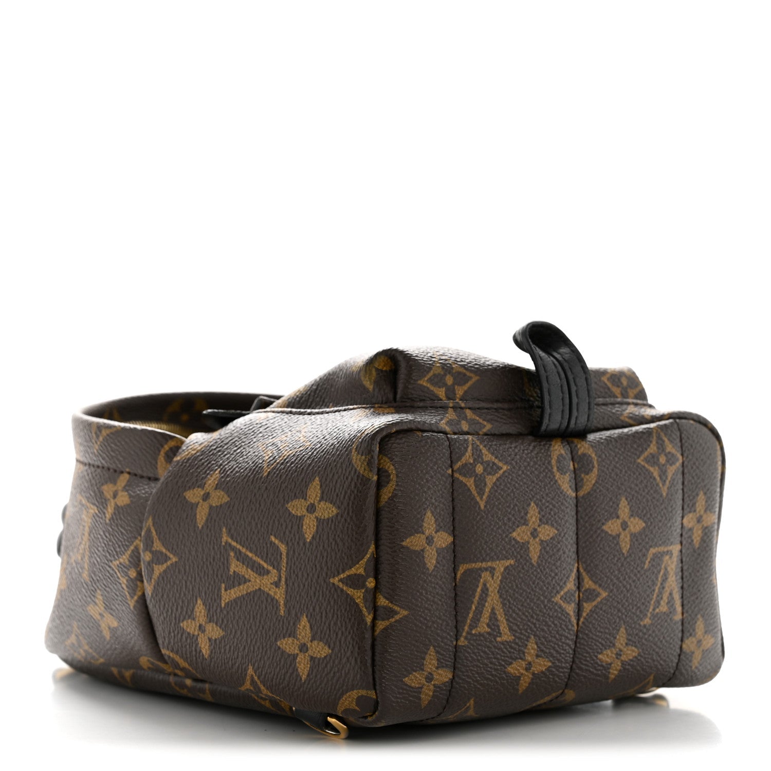Louis Vuitton Monogram Palm Springs Backpack Mini