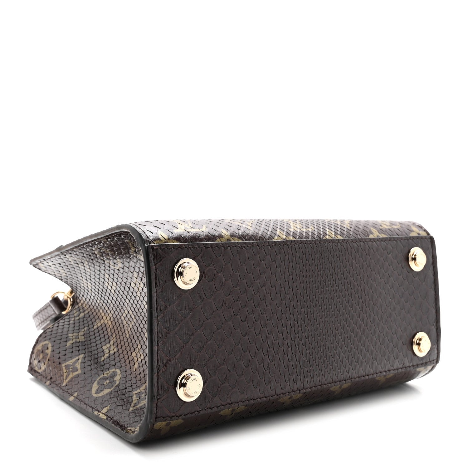 Louis Vuitton Snakeskin Monogram City Steamer Mini Brown