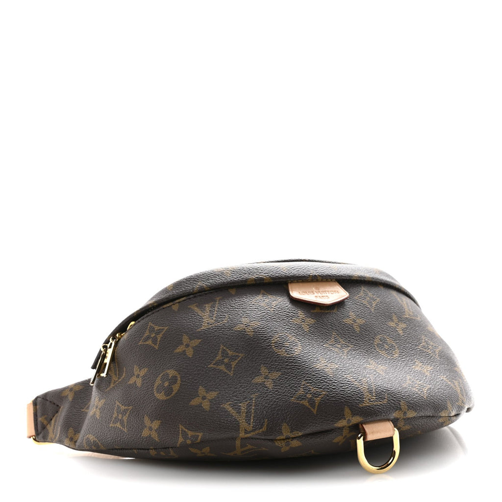 Louis Vuitton Monogram Bumbag