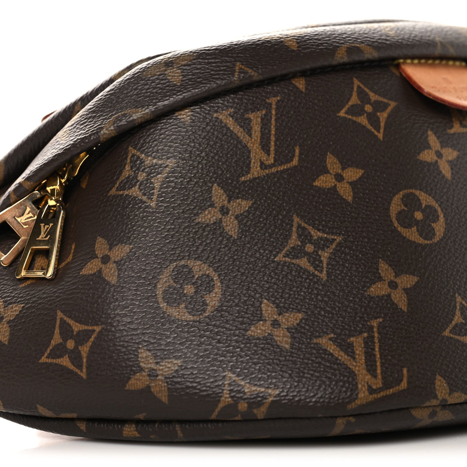 Louis Vuitton Monogram Bumbag