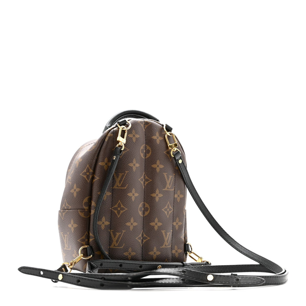 Louis Vuitton Monogram Palm Springs Backpack Mini