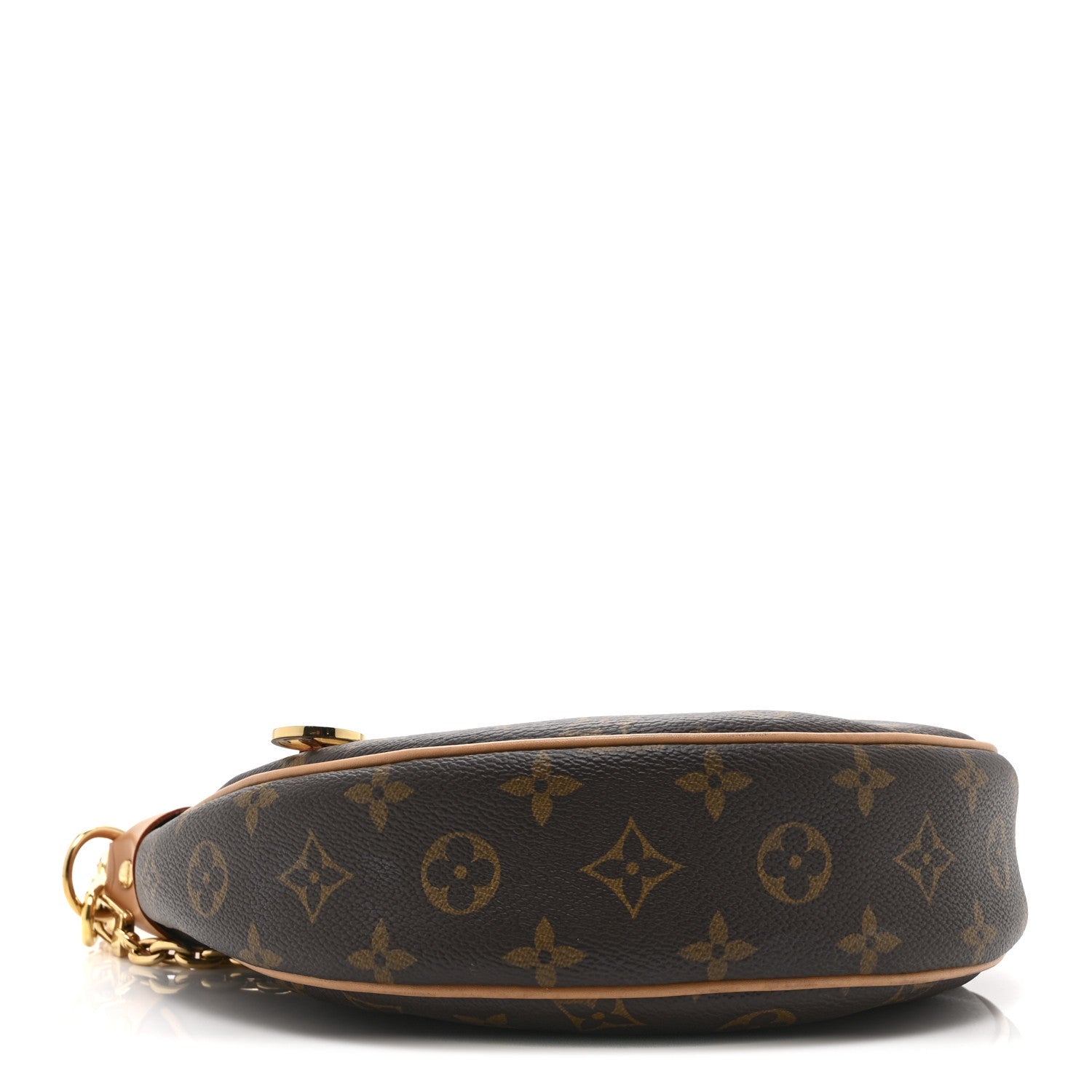 Louis Vuitton Monogram Loop