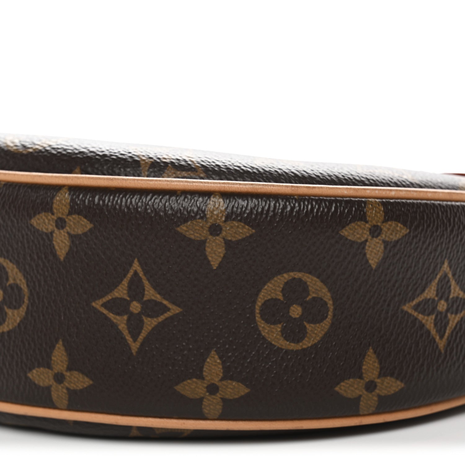 Louis Vuitton Monogram Loop
