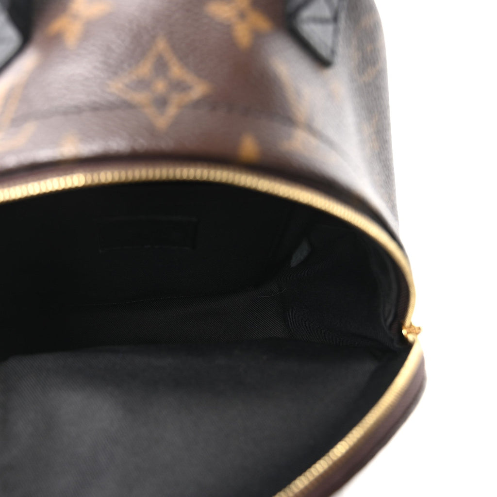 Louis Vuitton Monogram Palm Springs Backpack Mini
