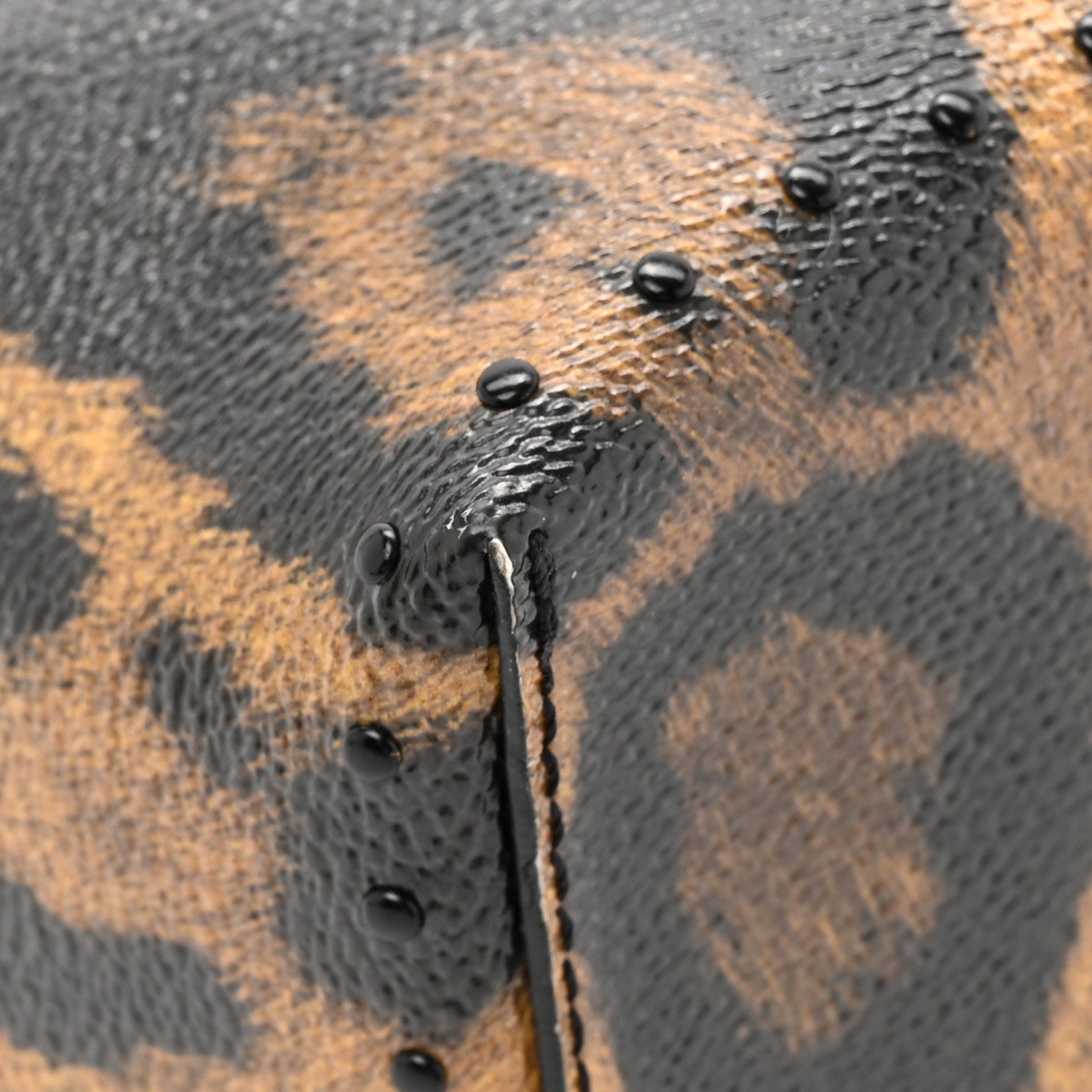 Louis Vuitton Monogram Leopard Camera Box
