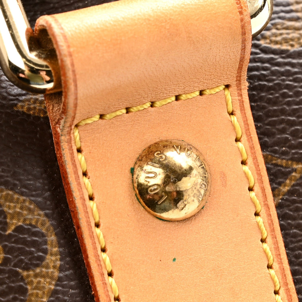 Louis Vuitton Monogram Carryall