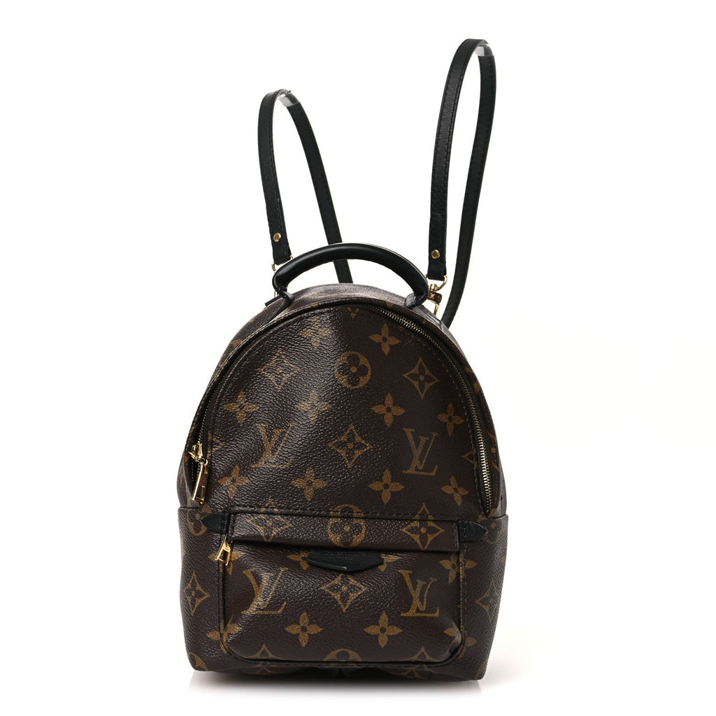 Louis Vuitton Monogram Palm Springs Backpack Mini