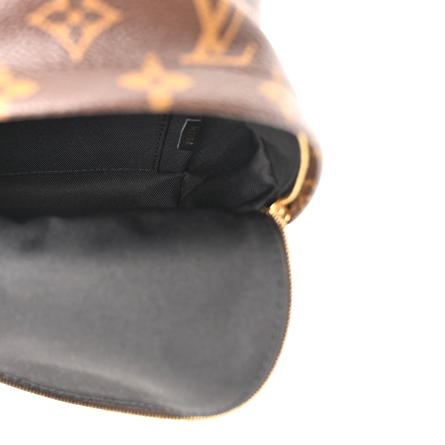 Louis Vuitton Monogram Palm Springs Backpack Mini
