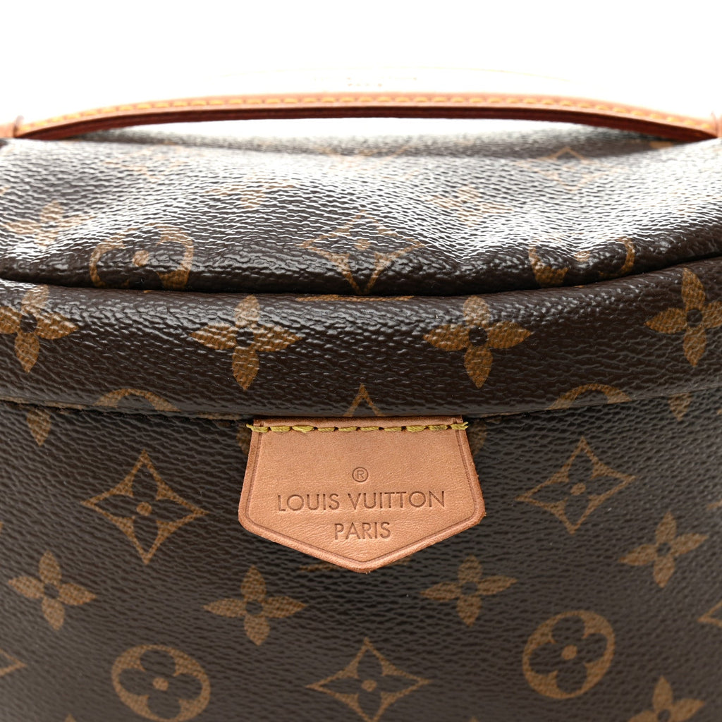 Louis Vuitton Monogram Bumbag