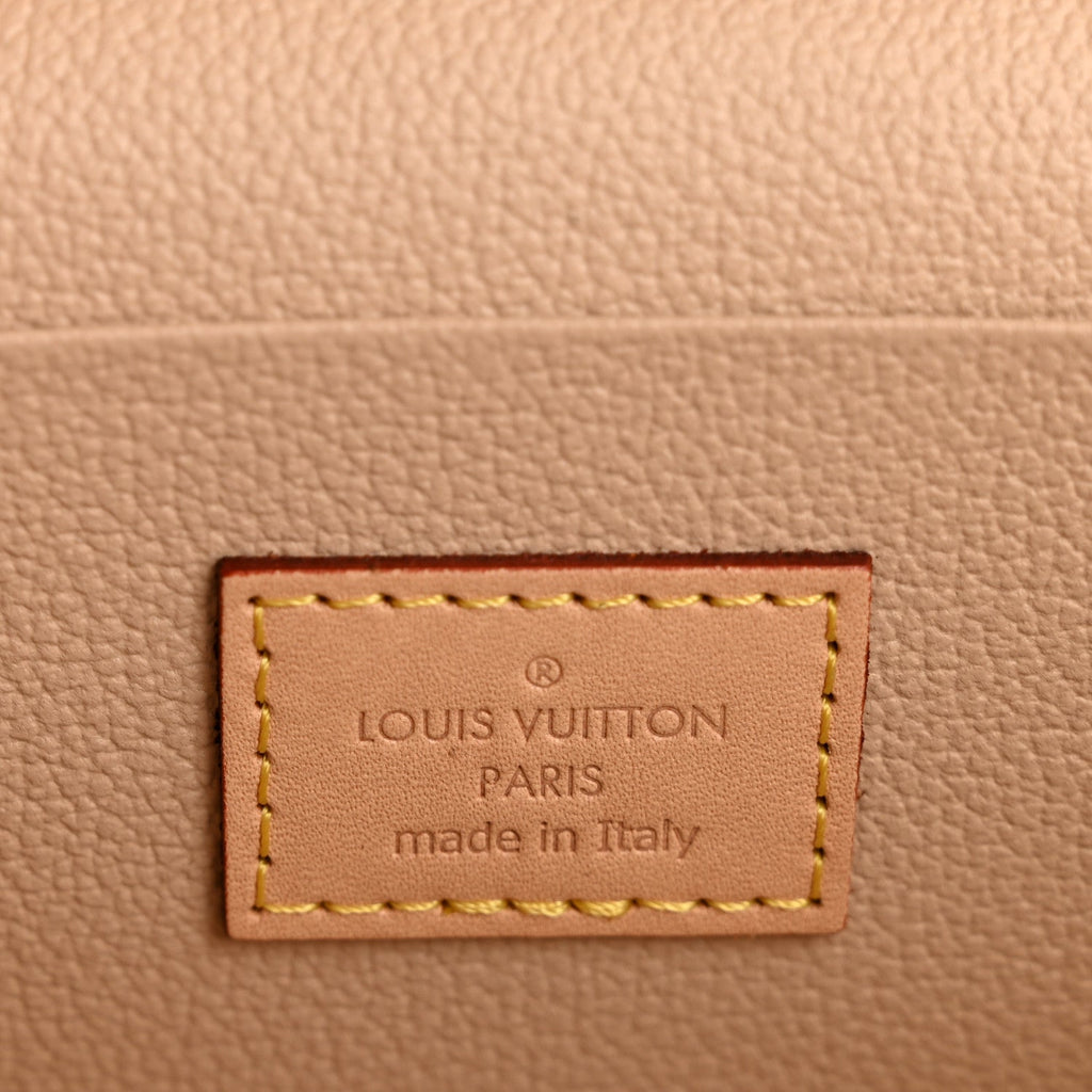 Louis Vuitton Monogram Nice Mini