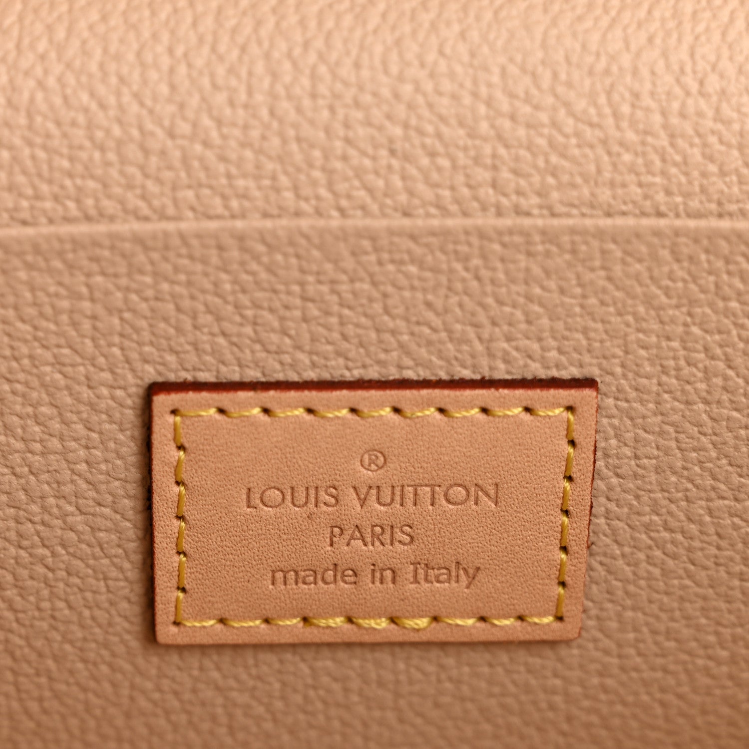 Louis Vuitton Monogram Nice Mini