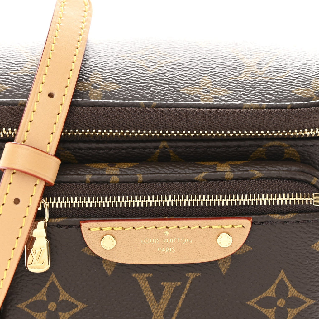Louis Vuitton Monogram Mini Bumbag