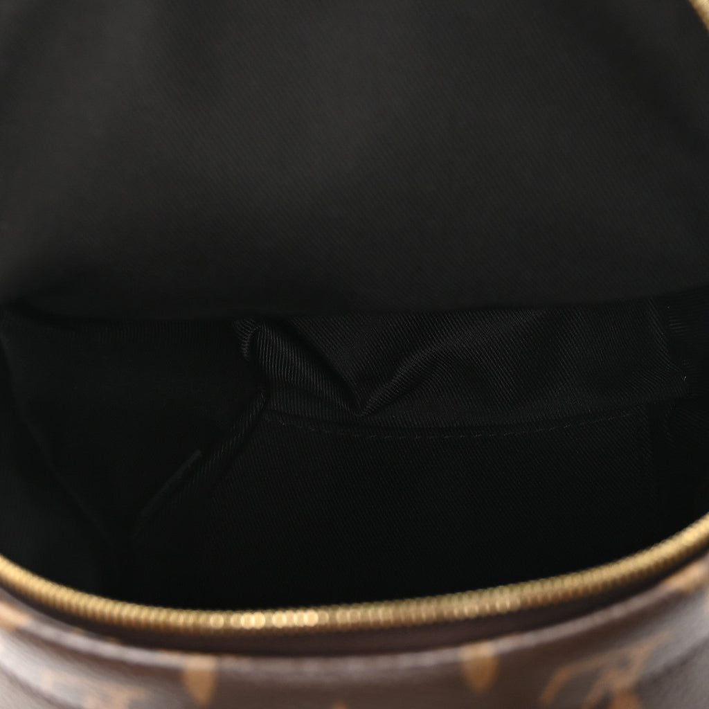 Louis Vuitton Monogram Palm Springs Backpack Mini