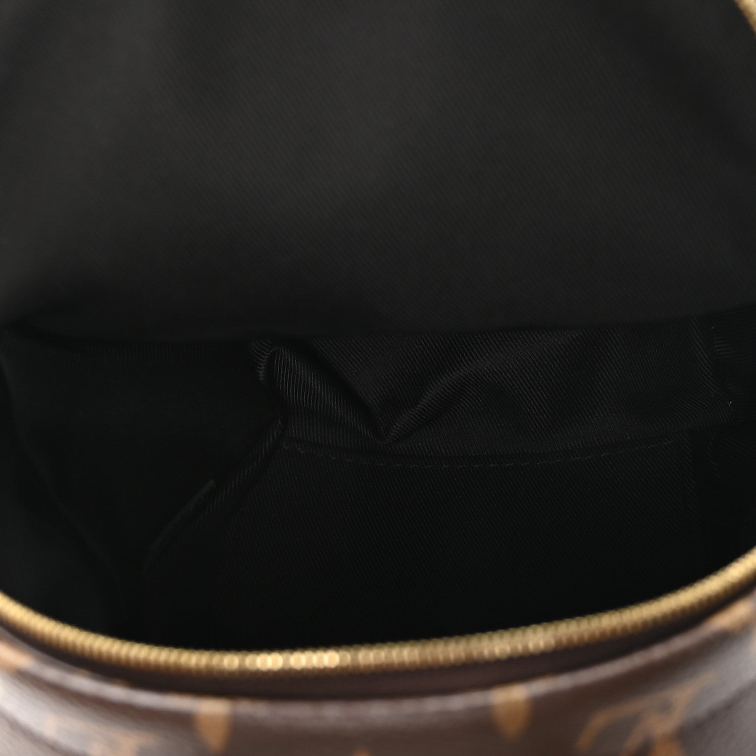 Louis Vuitton Monogram Palm Springs Backpack Mini