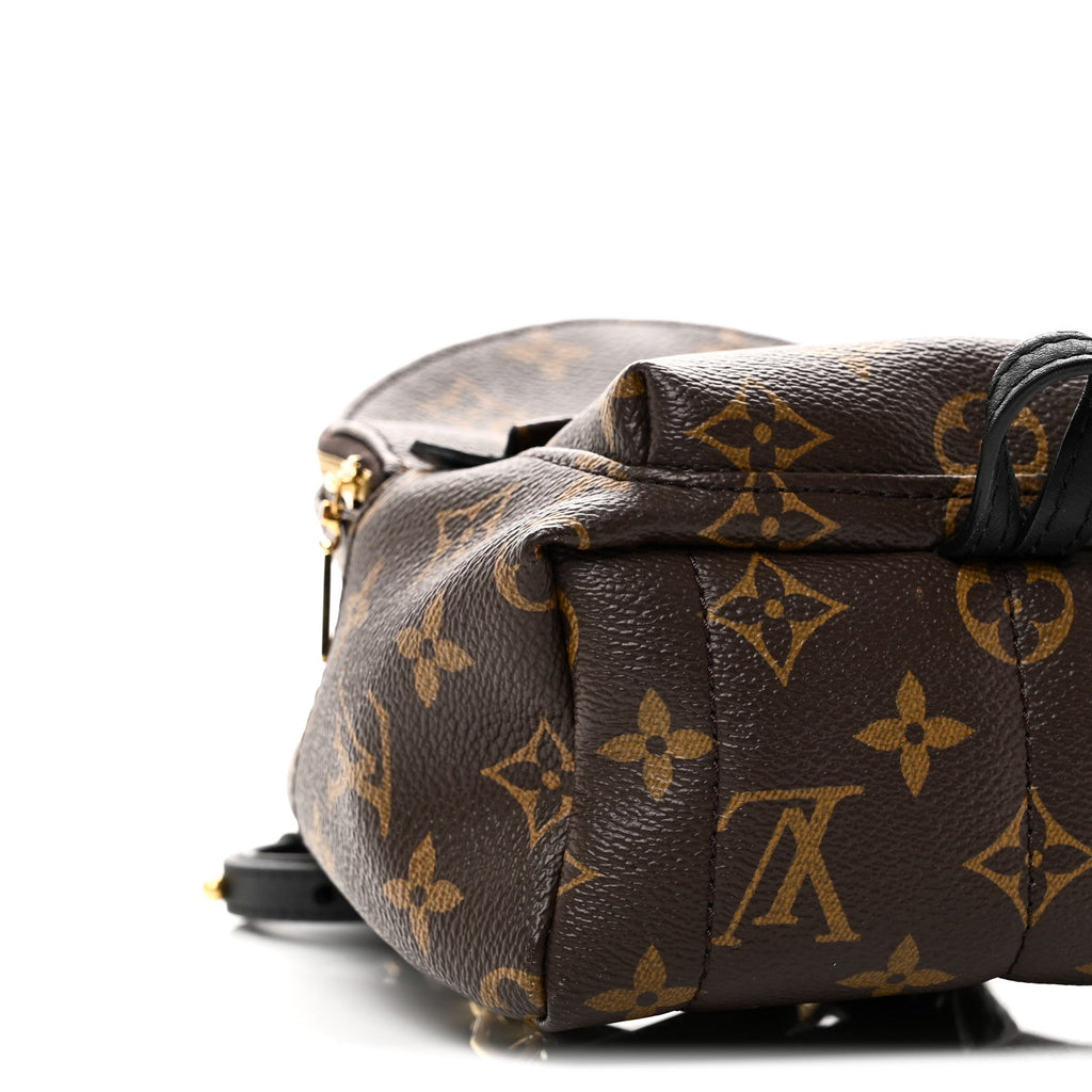 Louis Vuitton Monogram Palm Springs Backpack Mini