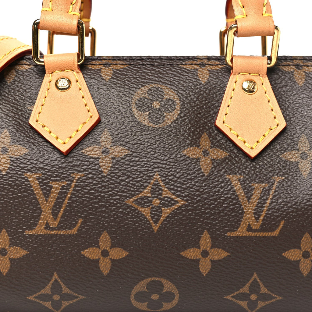 Louis Vuitton Monogram Nano Speedy Bandouliere