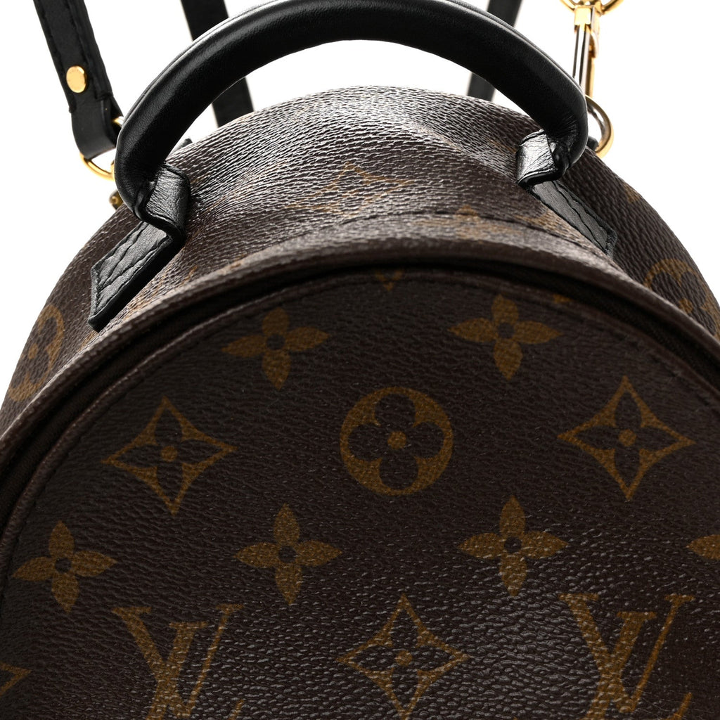 Louis Vuitton Monogram Palm Springs Backpack Mini