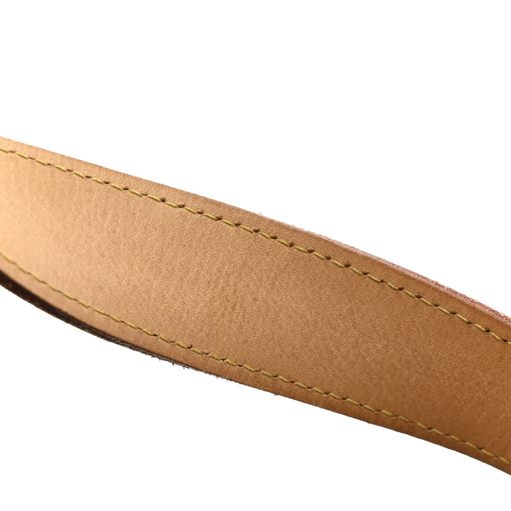 Louis Vuitton Monogram Galliera PM