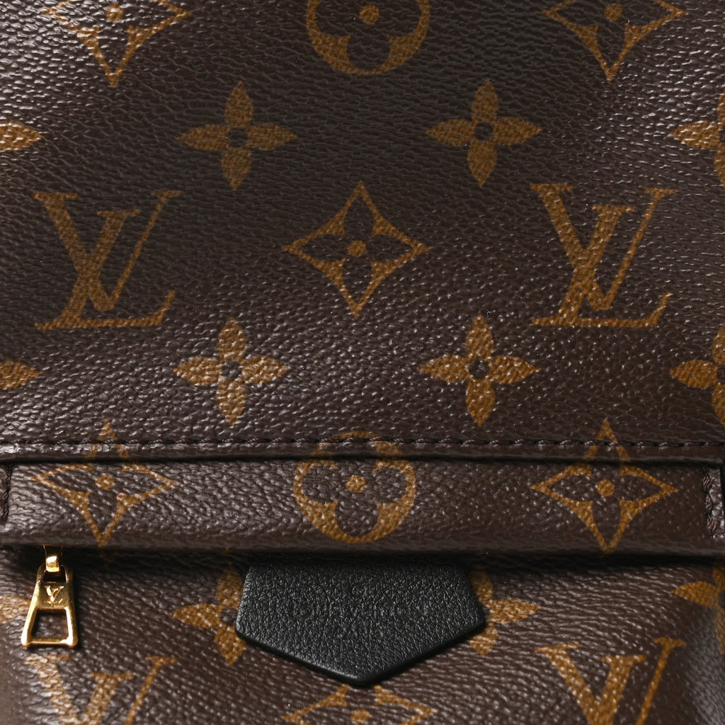 Louis Vuitton Monogram Palm Springs Backpack Mini