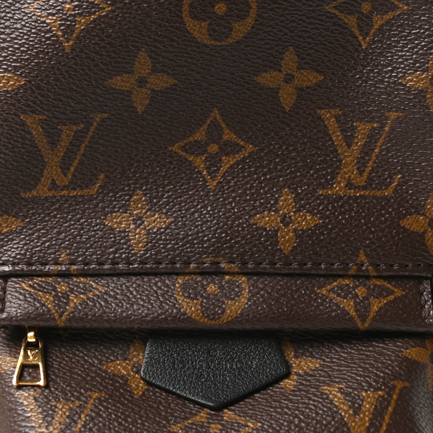 Louis Vuitton Monogram Palm Springs Backpack Mini