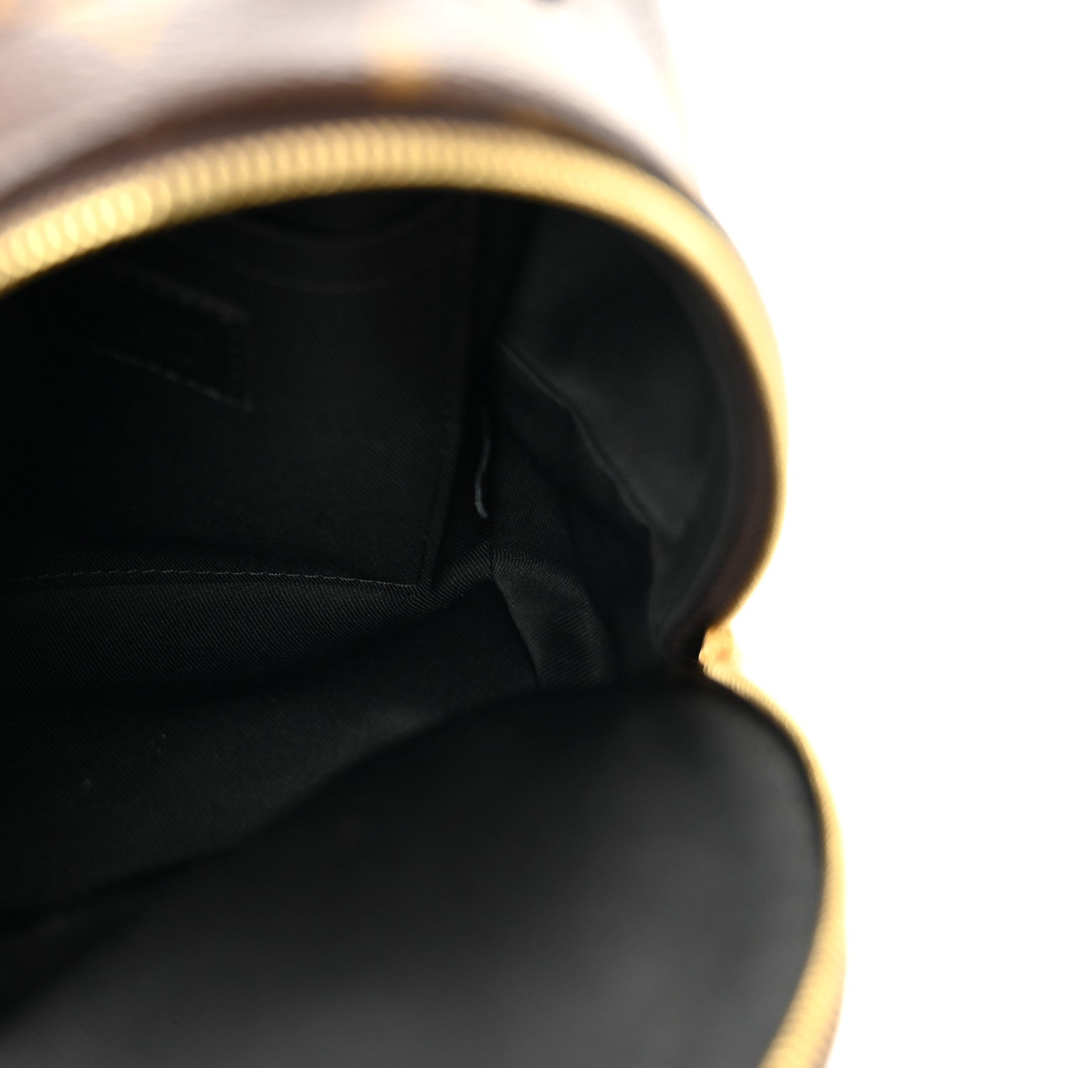 Louis Vuitton Monogram Palm Springs Backpack Mini