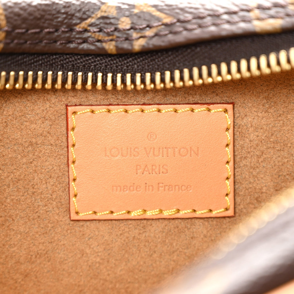 Louis Vuitton Monogram Loop