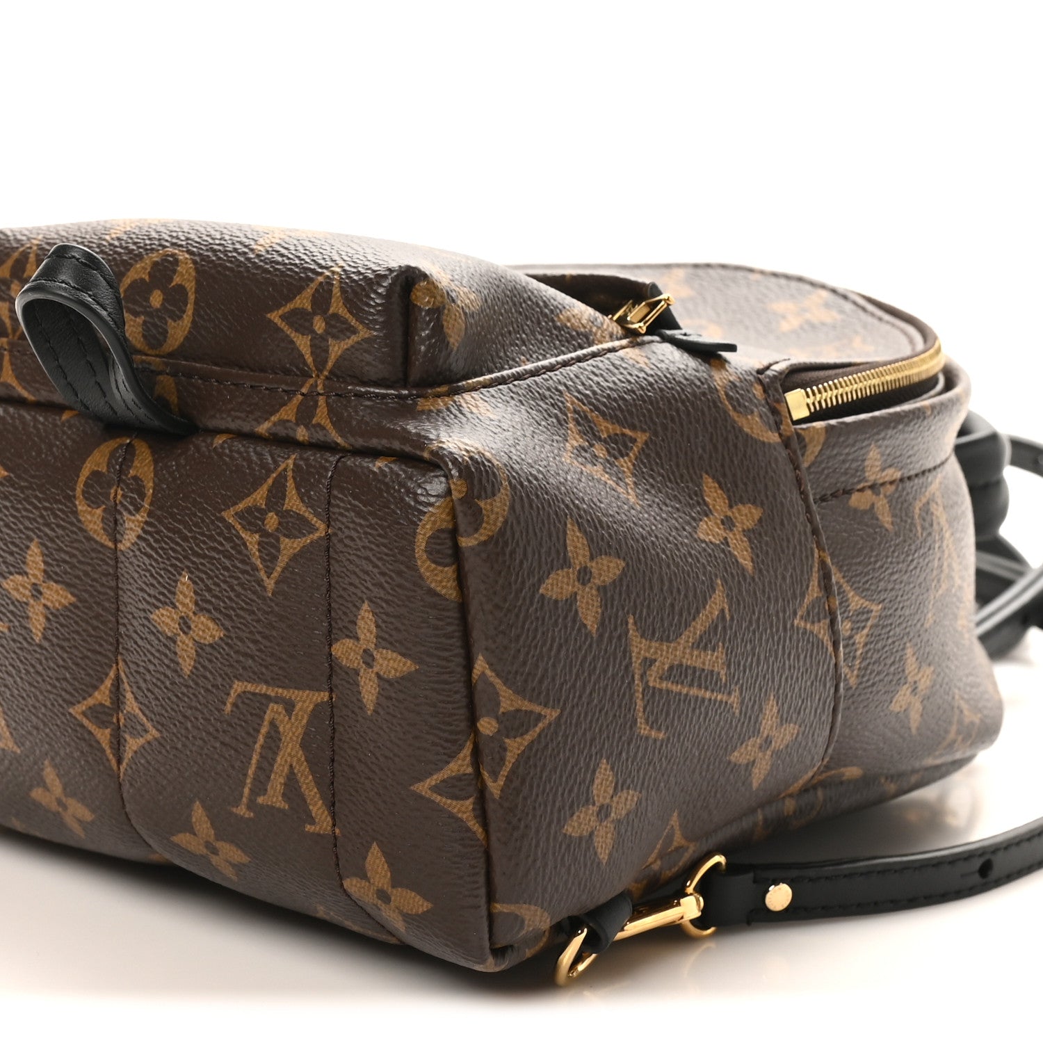 Louis Vuitton Monogram Palm Springs Backpack Mini