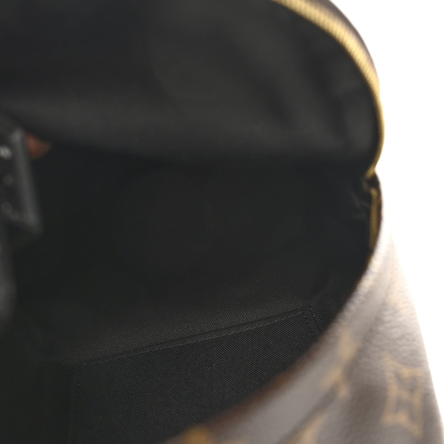 Louis Vuitton Monogram Palm Springs Backpack Mini