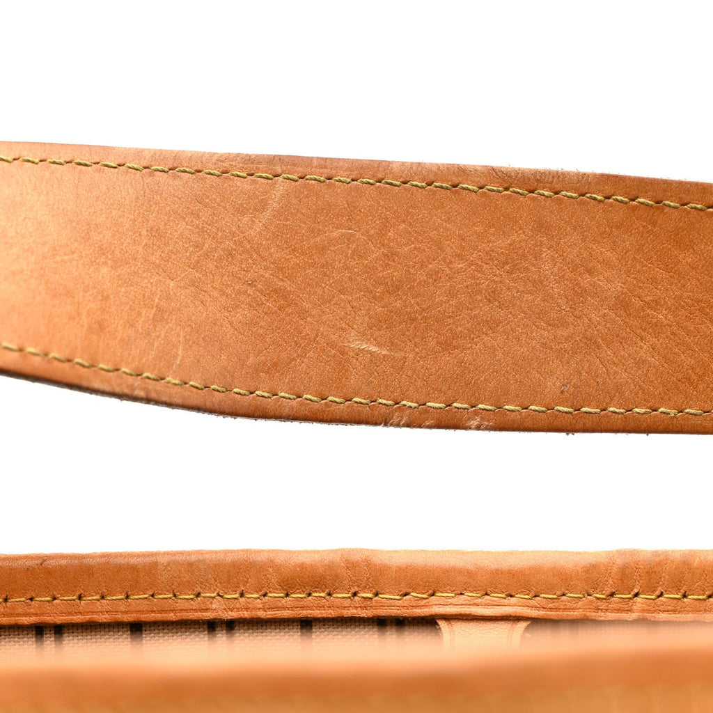 Louis Vuitton Monogram Delightful MM