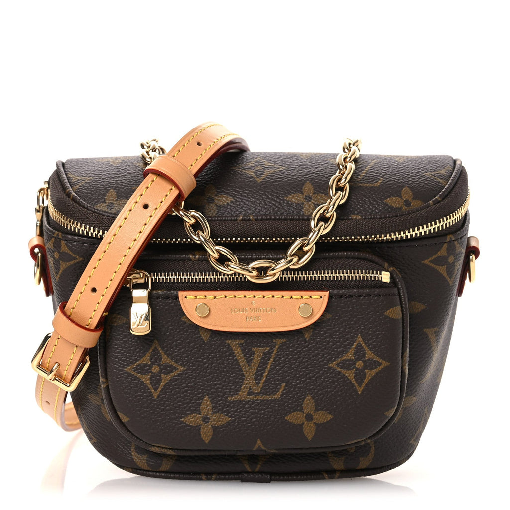Louis Vuitton Monogram Mini Bumbag