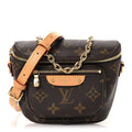 Louis Vuitton Monogram Mini Bumbag