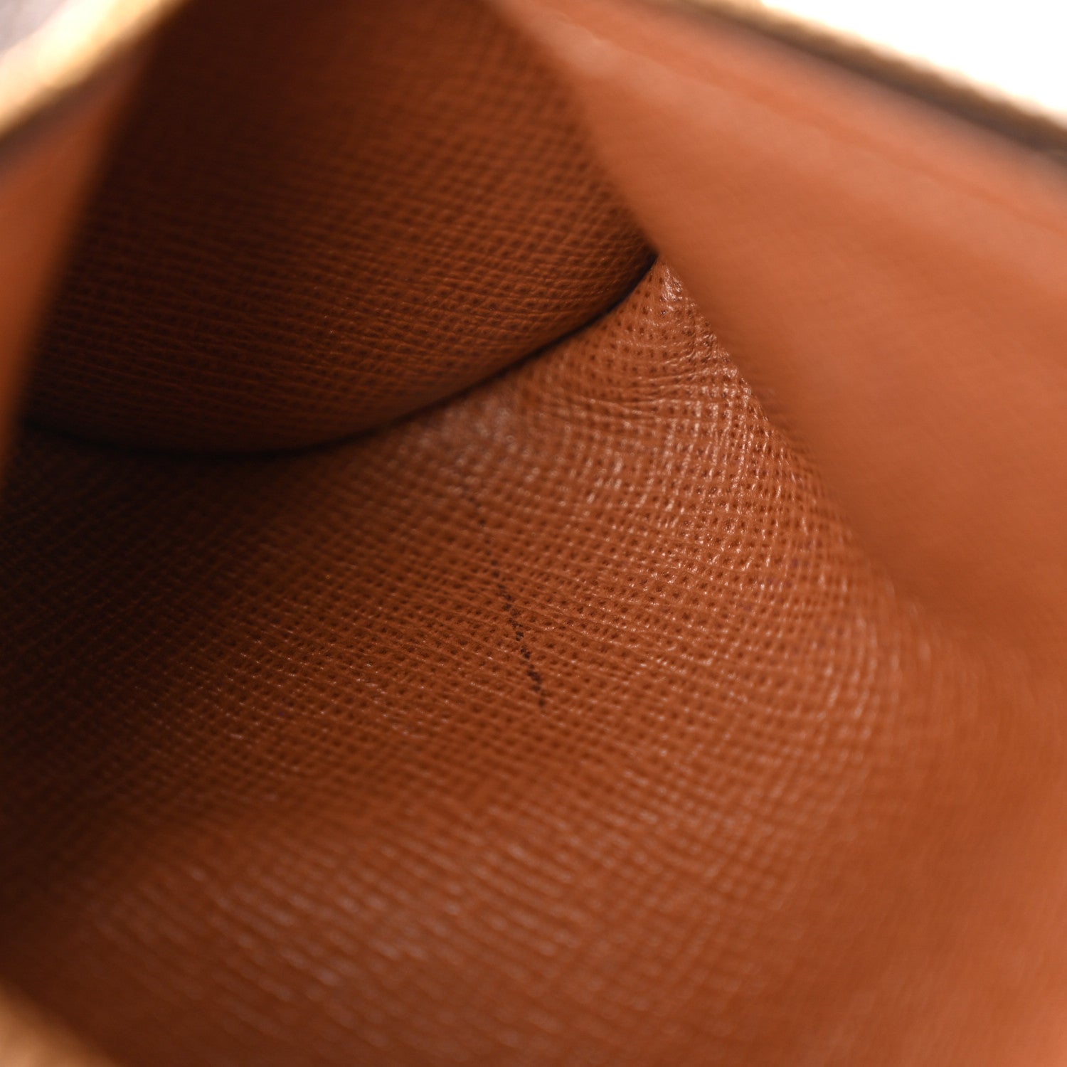 Louis Vuitton Monogram Mini Papillon