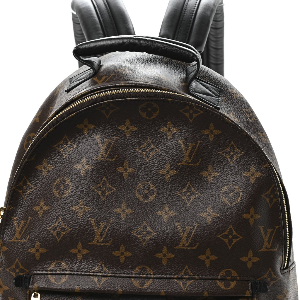 Louis Vuitton Monogram Palm Springs Backpack MM
