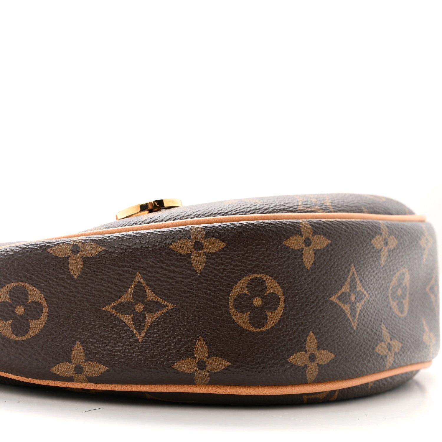 Louis Vuitton Monogram Loop