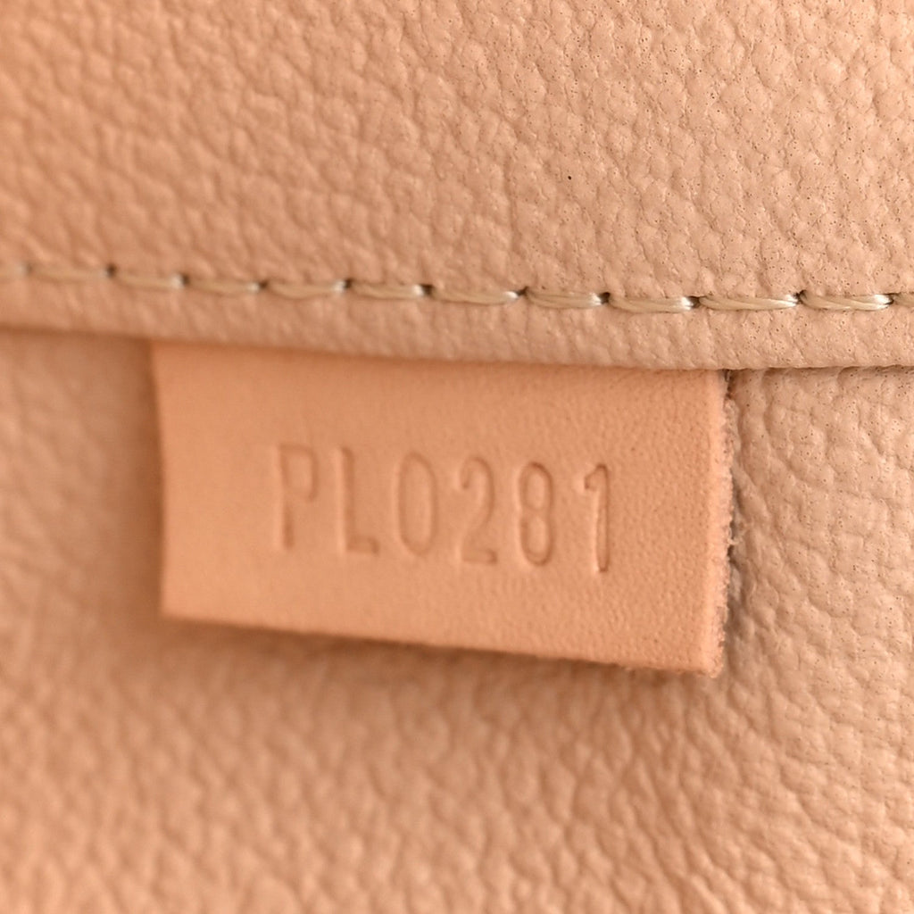 Louis Vuitton Monogram Nano Nice