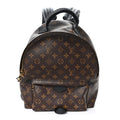 Louis Vuitton Monogram Palm Springs Backpack MM
