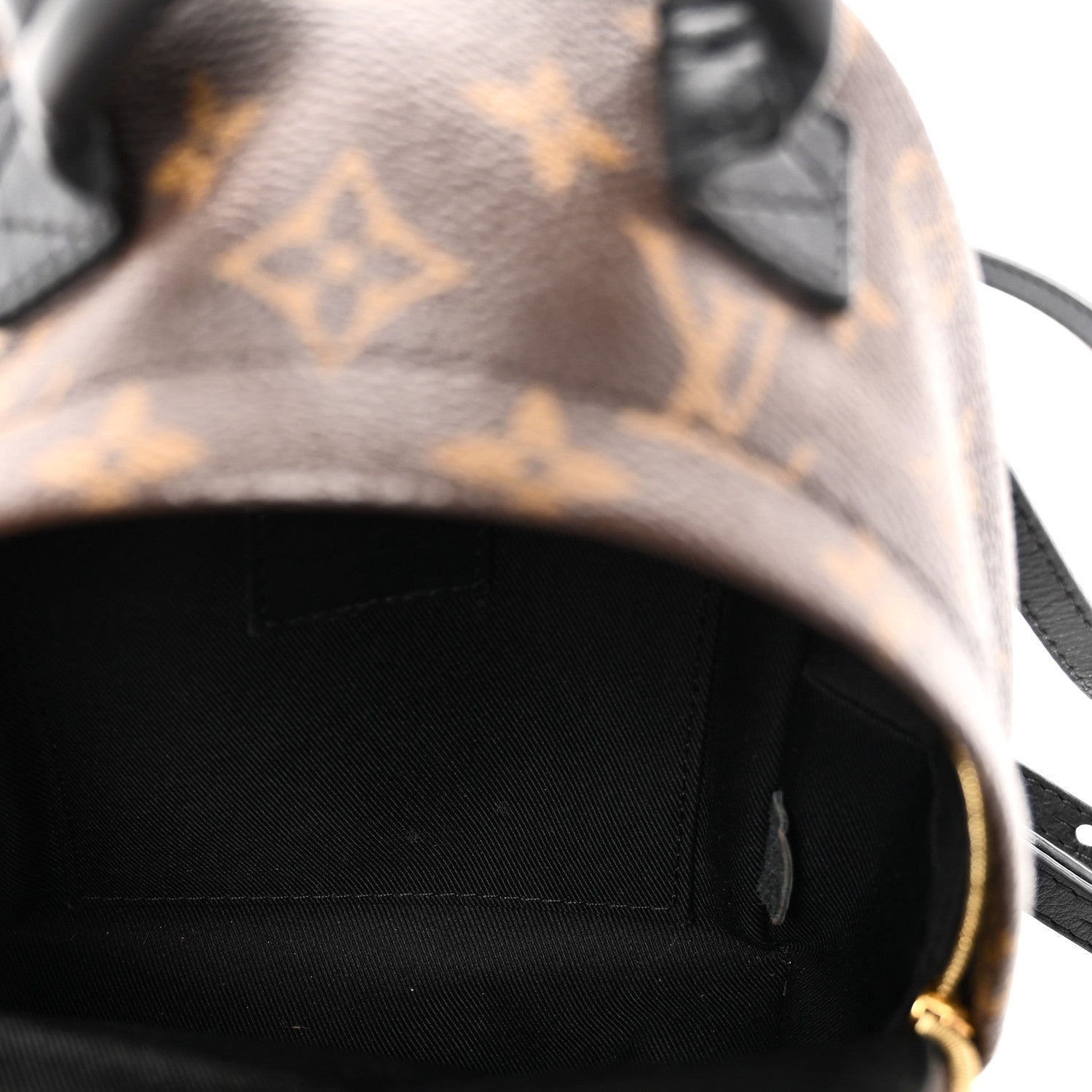 Louis Vuitton Monogram Palm Springs Backpack Mini