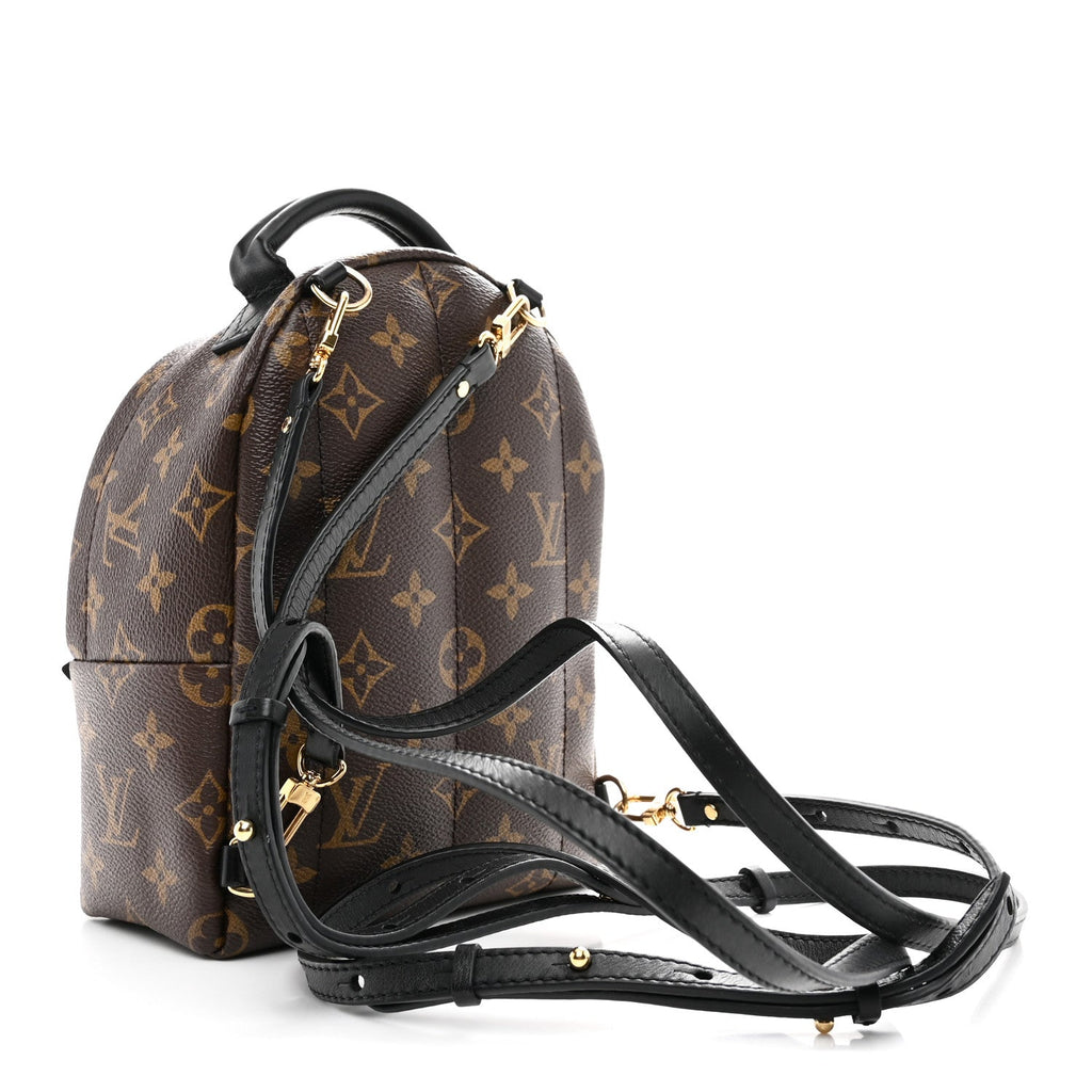 Louis Vuitton Monogram Palm Springs Backpack Mini