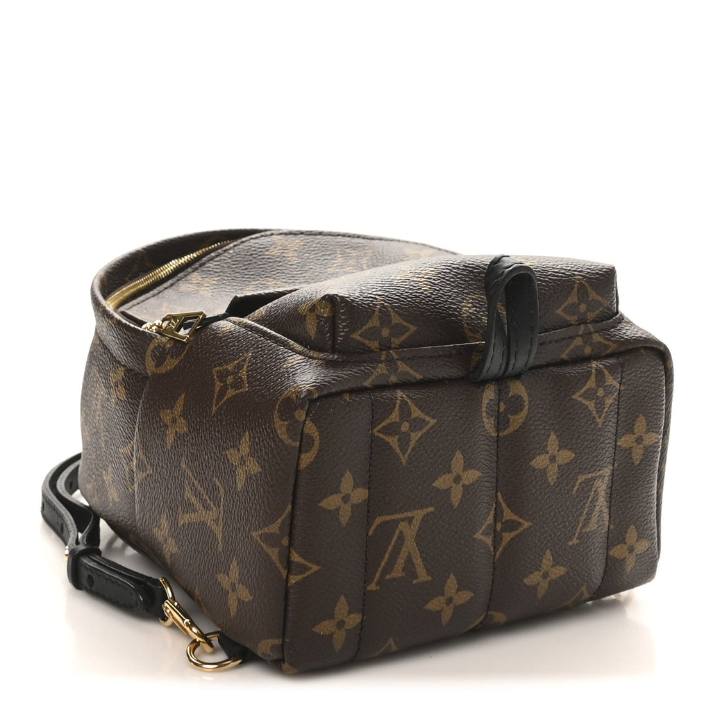Louis Vuitton Monogram Palm Springs Backpack Mini